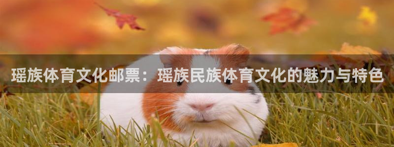 球速体育