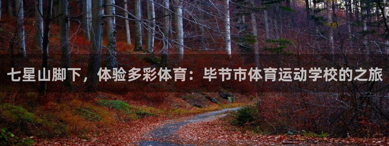 球速体育