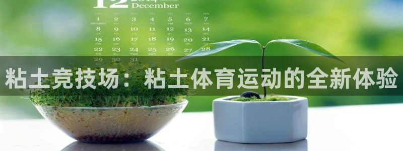 球速体育