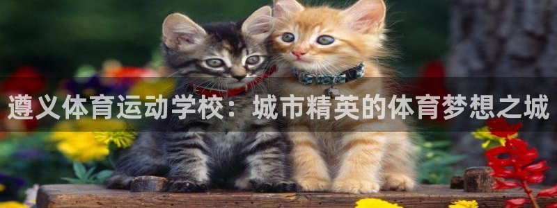 球速体育