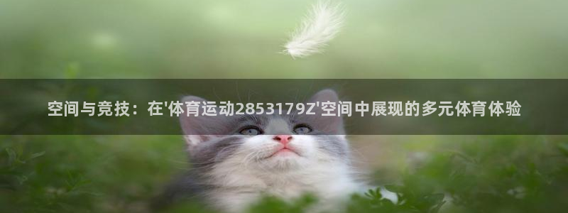 球速体育