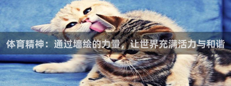 球速体育