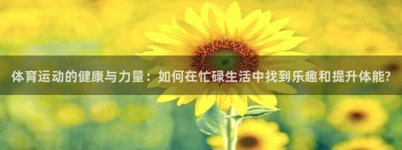 球速体育