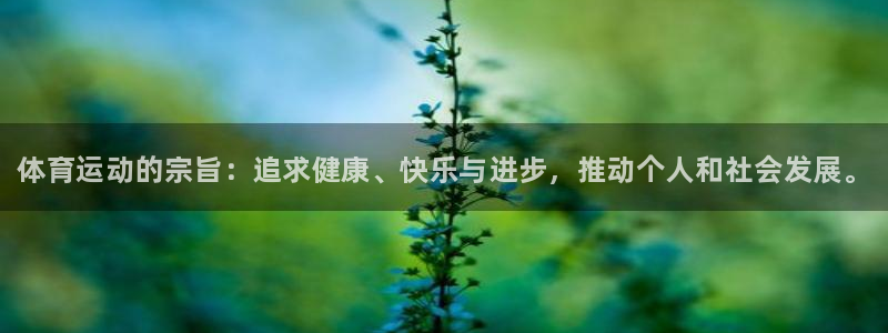 球速体育