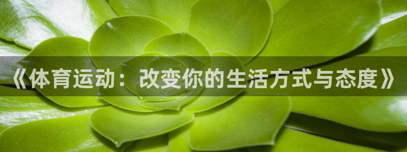 球速体育