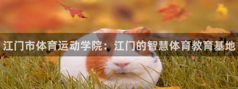 球速体育