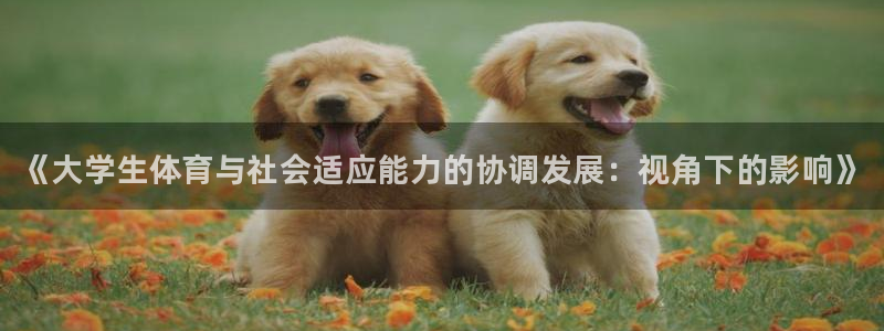 球速体育