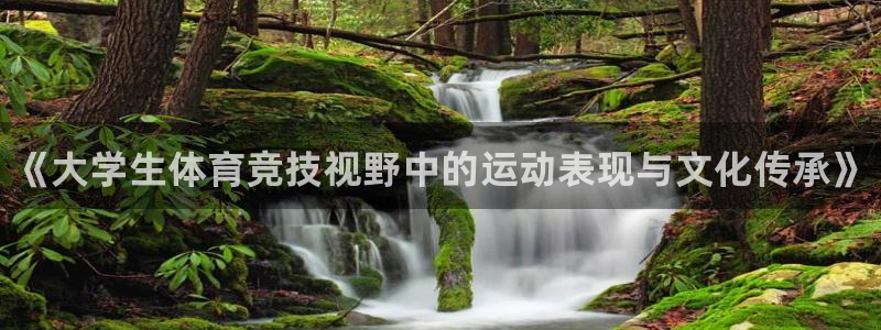 球速体育