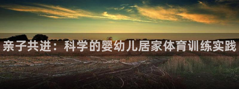 球速体育