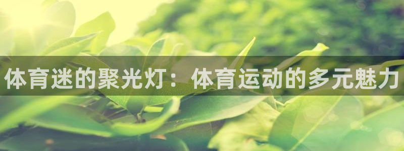 球速体育