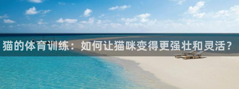 球速体育