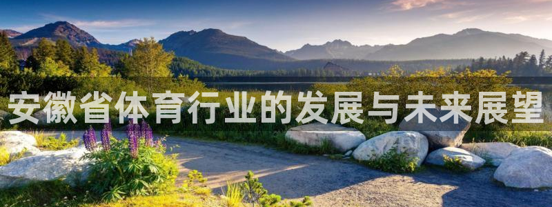 球速体育