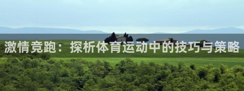 球速体育