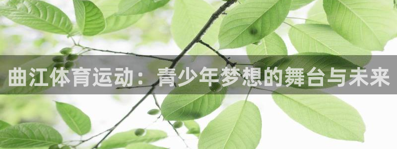 球速体育