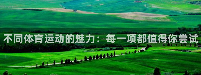 球速体育