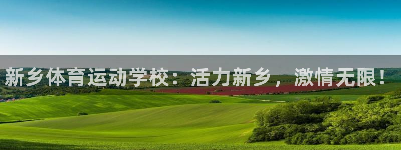 球速体育