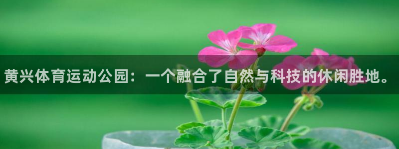 球速体育