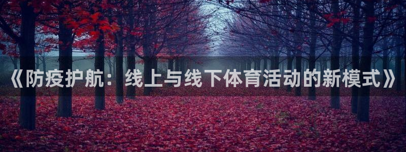 球速体育